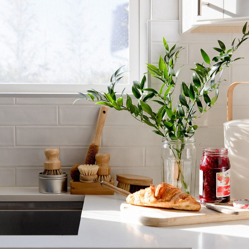 Zero Waste Store Zero Waste Dish Brush Kit