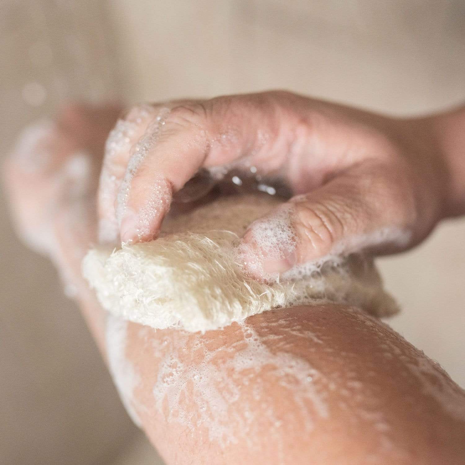 Brush With Bamboo Loofah Scrubber Bundle